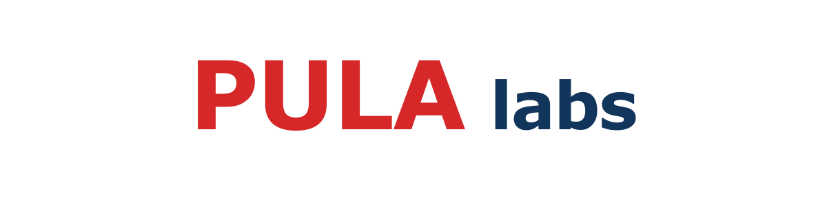 pulalabs.com favicon